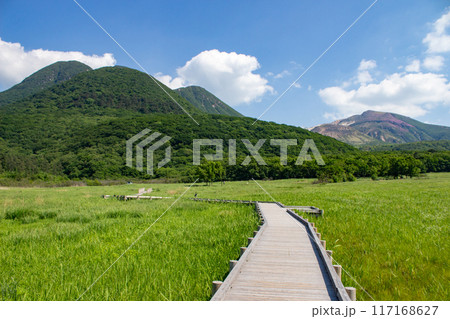 新緑の長者原タデ原湿原とくじゅう連山 117168627