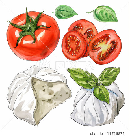 トマト、チーズ、バジルの水彩イラスト (モッツァレラ、チェダー、ブラータ、カマンベール)Genera 117168754