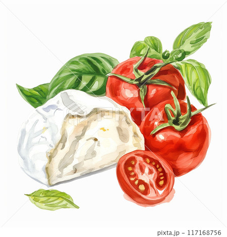 トマト、チーズ、バジルの水彩イラスト (モッツァレラ、チェダー、ブラータ、カマンベール)Genera 117168756