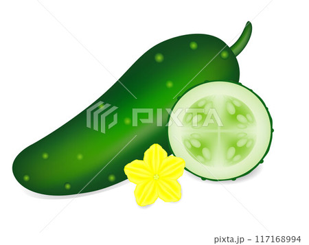 A whole cucumber and a circle with a flower on a white background. 117168994