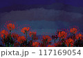 夜の彼岸花 117169054