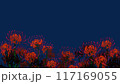 夜の彼岸花 117169055
