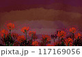 夕暮れの彼岸花 117169056
