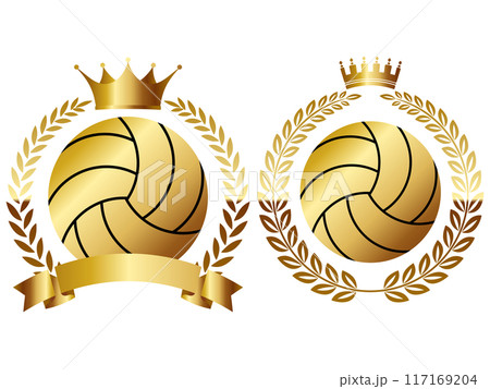 バレーボールのエンブレム2種セット　ゴールド 117169204