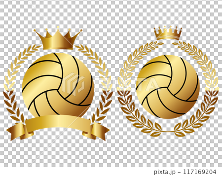 排球徽章 2 種設定黃金 117169204