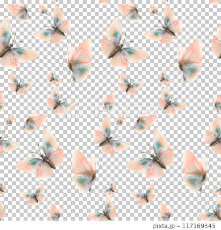 Delicate, flying, elegant butterflies in the trendy pastel color peach fuzz in a vintage style. Hand drawn watercolor illustration. Seamless pattern, repeating ornament on a white background Delicate, flying, elegant butterflies in the trendy pastel color peach fuzz in a vintage style. Hand drawn watercolor illustration. Seamless pattern, repeating ornament on a white background 117169345