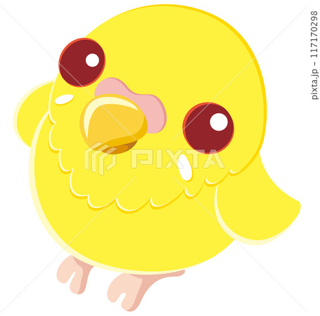 見上げる可愛いセキセイインコのベクターイラストアイコン／ルチノー 117170298
