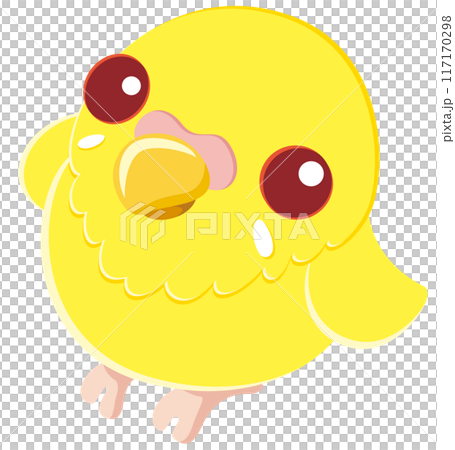 見上げる可愛いセキセイインコのベクターイラストアイコン／ルチノー 117170298