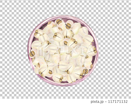 Pile of Water Lily Seeds on ceramic pink plate. White peeled nuts. Heap of raw tasty vegan food. Watercolor illustration of tropical plant. For kitchen inspired designs, cooking blogs, menu Pile of Water Lily Seeds on ceramic pink plate. White peeled nuts. Heap of raw tasty vegan food. Watercolor illustration of tropical plant. For kitchen inspired designs, cooking blogs, menu 117171132