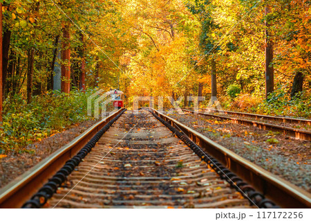 Autumn forest through which an old tram rides (Ukraine) 117172256
