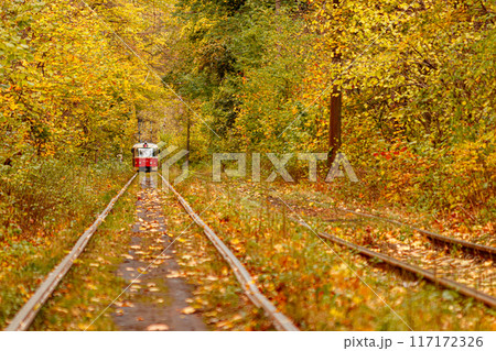 Autumn forest through which an old tram rides (Ukraine) Autumn forest through which an old tram rides (Ukraine) 117172326