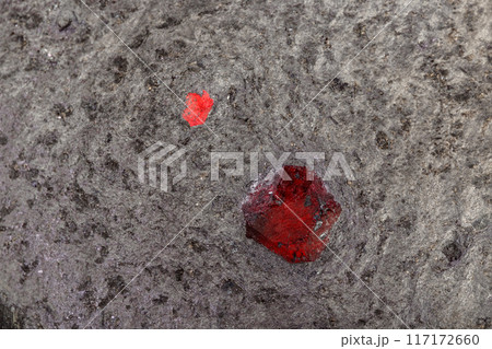 Macro mineral stone Garnet in rock on a white background Macro mineral stone Garnet in rock on a white background 117172660
