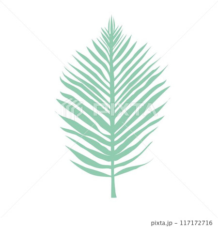 Set of palm leaves silhouettes isolated on white background. Vector EPS10 Set of palm leaves silhouettes isolated on white background. Vector EPS10 117172716
