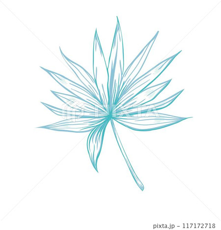 Set of palm leaves silhouettes isolated on white background. Vector EPS10 Set of palm leaves silhouettes isolated on white background. Vector EPS10 117172718