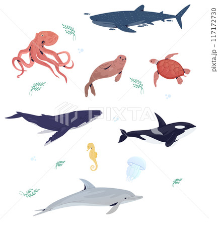 Underwster animals set with hand drawn sea life elements. Vector doodle cartoon set of marine life objects for your design. 117172730