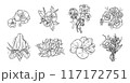 Black and white set of flower greenery leaves line art isolated. Spring floral garden roses black logo wreath sketch plant. Vector illustration botanical stem, green leaves, floral bloom 117172751