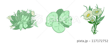 Set of flower greenery leaves line art isolated. Spring floral garden roses black logo wreath sketch plant. Vector illustration botanical stem, green leaves, floral bloom Set of flower greenery leaves line art isolated. Spring floral garden roses black logo wreath sketch plant. Vector illustration botanical stem, green leaves, floral bloom 117172752