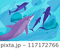 The underwater world with dolphins in blue water 117172766