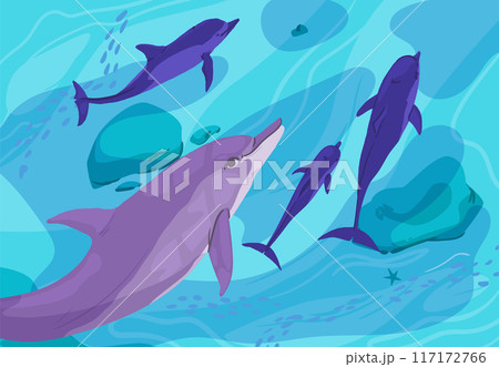 The underwater world with dolphins in blue water 117172766