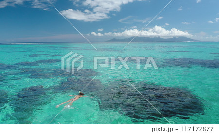 Woman snorkeling crystal clear turquoise water coral barrier reef, sunny day. Slim girl in bikini enjoy outdoor lifestyle travel summer holiday vacation. Tahiti, Polynesia. Aerial top view, drone shot Woman snorkeling crystal clear turquoise water coral barrier reef, sunny day. Slim girl in bikini enjoy outdoor lifestyle travel summer holiday vacation. Tahiti, Polynesia. Aerial top view, drone shot 117172877
