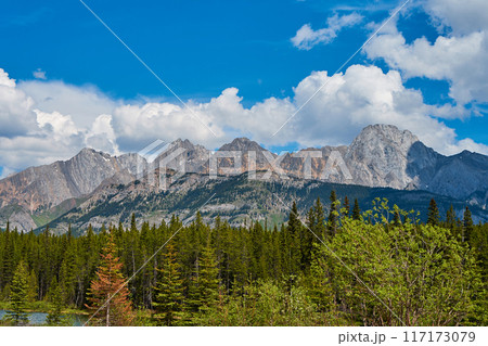 The rocky mountains of Alberta are surrounded by coniferous forests on a sunny summer day. 117173079
