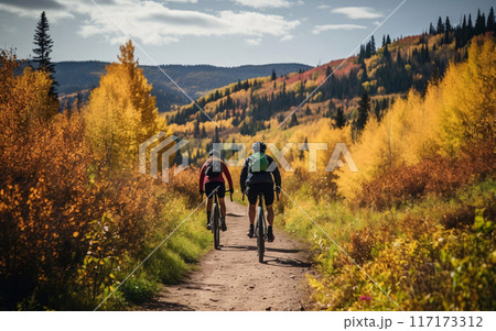 Two cyclists riding along an autumn forest road, back view, wellness and sport activity in autumn 117173312