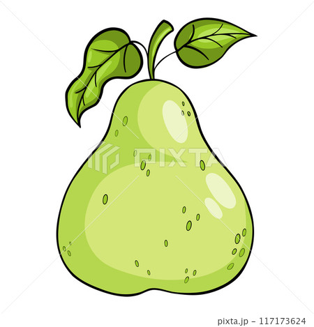 Green ripe pear fruit with leaves. Vector illustration hand drawing. 117173624