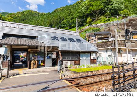 日本の駅舎　JR土讃線　大歩危駅構内 117173683