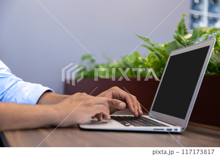 Unrecognizable man digital entrepreneur typing on keyboard on laptop 117173817