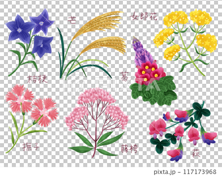 Autumn seven herbs watercolor hand-drawn illustration set Autumn seven herbs watercolor hand-drawn illustration set 117173968