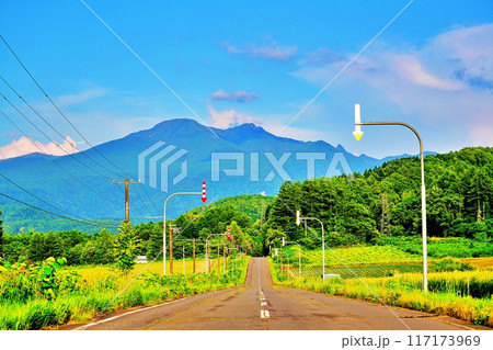 北海道 大雪山と直線道路の風景 117173969