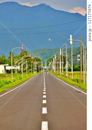 北海道 大雪山と直線道路の風景 117173974