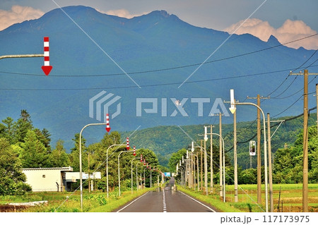 北海道 大雪山と直線道路の風景 117173975