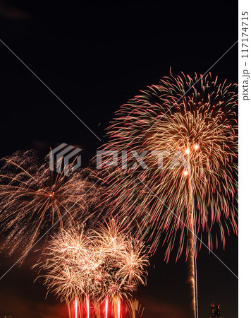 戸田橋花火大会・いたばし花火大会 117174715