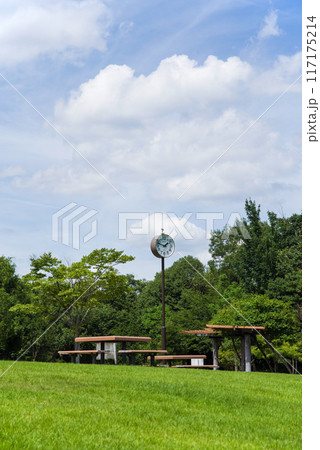夏の公園風景 夏の公園風景 117175214