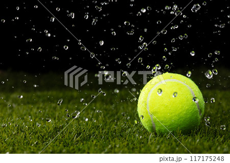 Tennis ball sits on a wet rain grass field. Express joy peaceful moment during rain shower as droplet over grass field to show happy smile tennis ball sport Tennis ball sits on a wet rain grass field. Express joy peaceful moment during rain shower as droplet over grass field to show happy smile tennis ball sport 117175248
