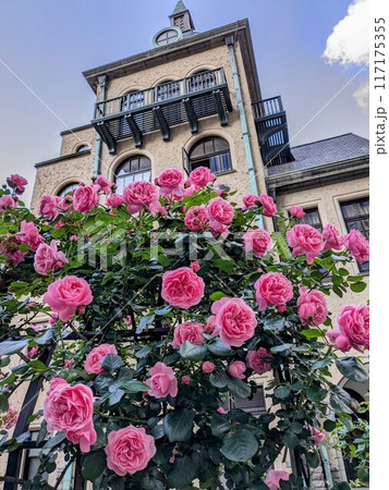 美しいバラが咲き誇る赤坂プリンスクラシックハウスの洋館 117175355