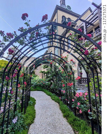 美しいバラが咲き誇る赤坂プリンスクラシックハウスの洋館 117175371