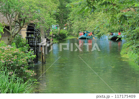 大王わさび農場の清流と水車小屋 117175409