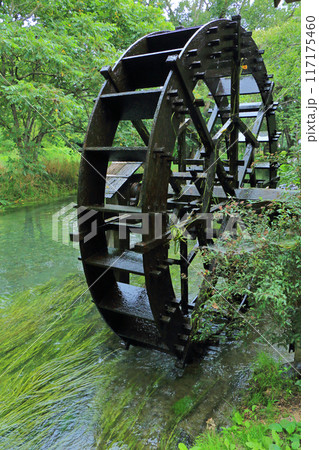 大王わさび農場の清流と水車 大王わさび農場の清流と水車 117175460