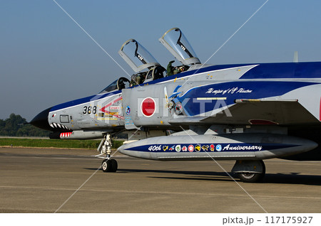 派手な飛行機 派手な飛行機 117175927