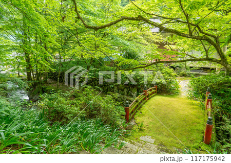 岐阜県揖斐川町　西美濃三十三霊場第一札所の新緑の横蔵寺の苔むした赤い橋 117175942