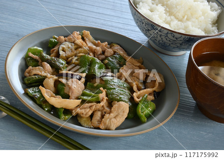 ナスとピーマンと豚肉の味噌炒め 117175992
