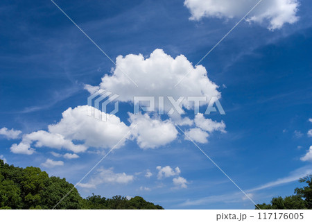 夏空に浮かぶ白い雲《風景・背景素材》 117176005