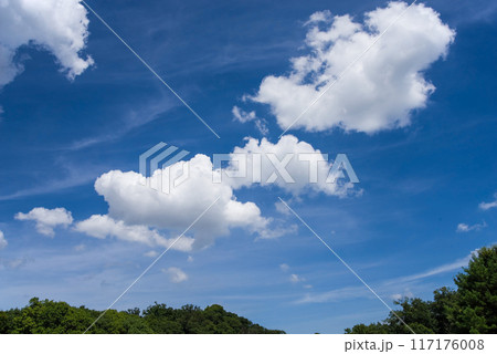 夏空に浮かぶ白い雲《風景・背景素材》 117176008