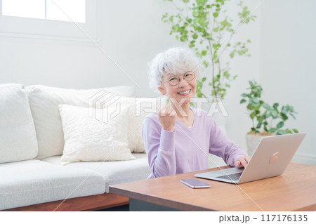 パソコンを使う高齢者女性 117176135