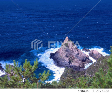 屋久島、西部林道、瀬切大橋付近より瀬切立神（立神岩）ととコバルトブルーの海 117176288