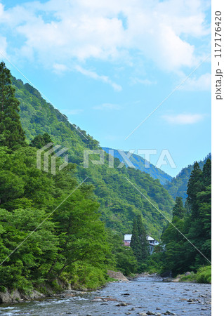 新緑の森林を流れる清津川　初夏の風景　新潟県十日町市 117176420