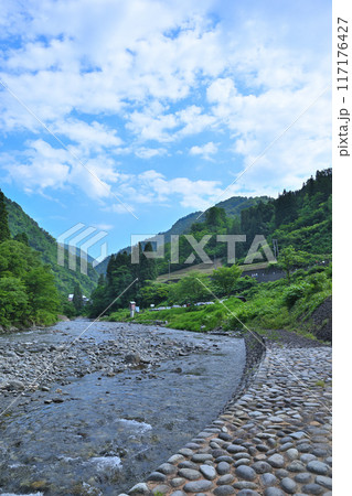 新緑の森林を流れる清津川　初夏の風景　新潟県十日町市 117176427