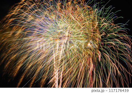 関東人気・戸田橋いたばし花火大会スターマイン 関東人気・戸田橋いたばし花火大会スターマイン 117176439